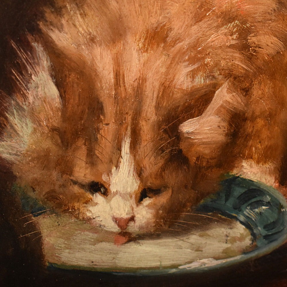 QA770 7a antique oil painting cats portraits painting XIX